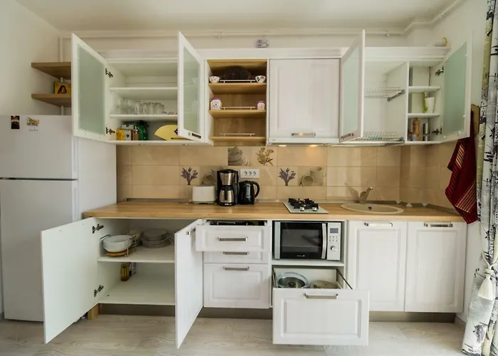 Apartament Schiller 57 - Free Private Parking Brașov